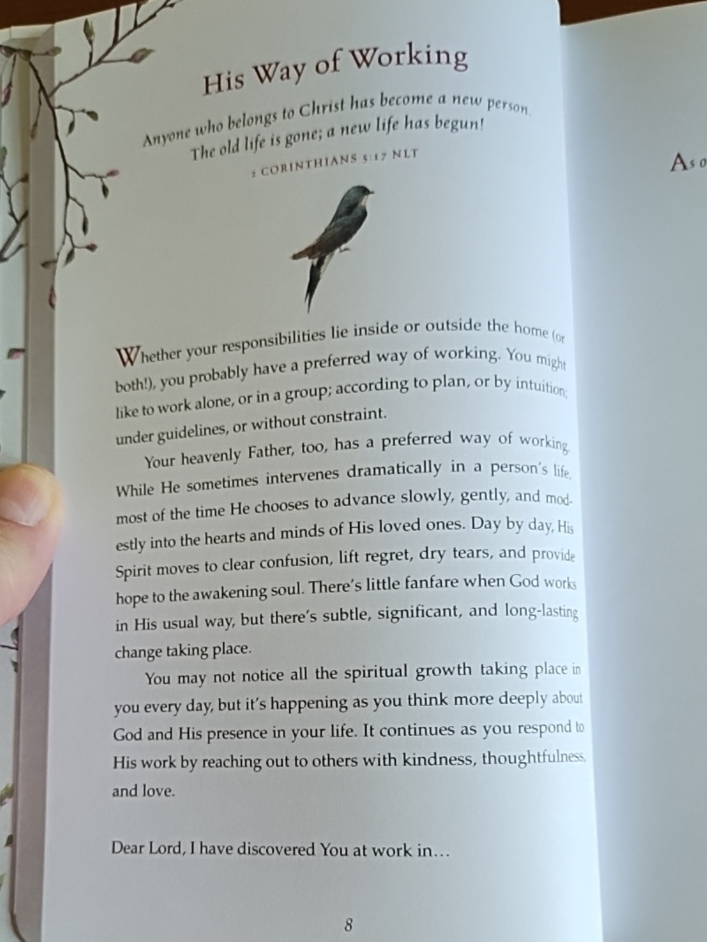 Everyday Grace 60 Devotions Scripture Quotes Art Drawings Ellie Claire Christian - Picture 5 of 11